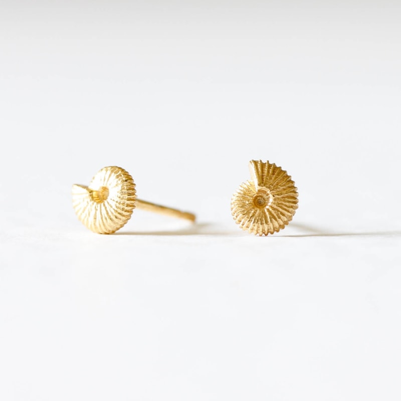 Ammonite earrings silver online