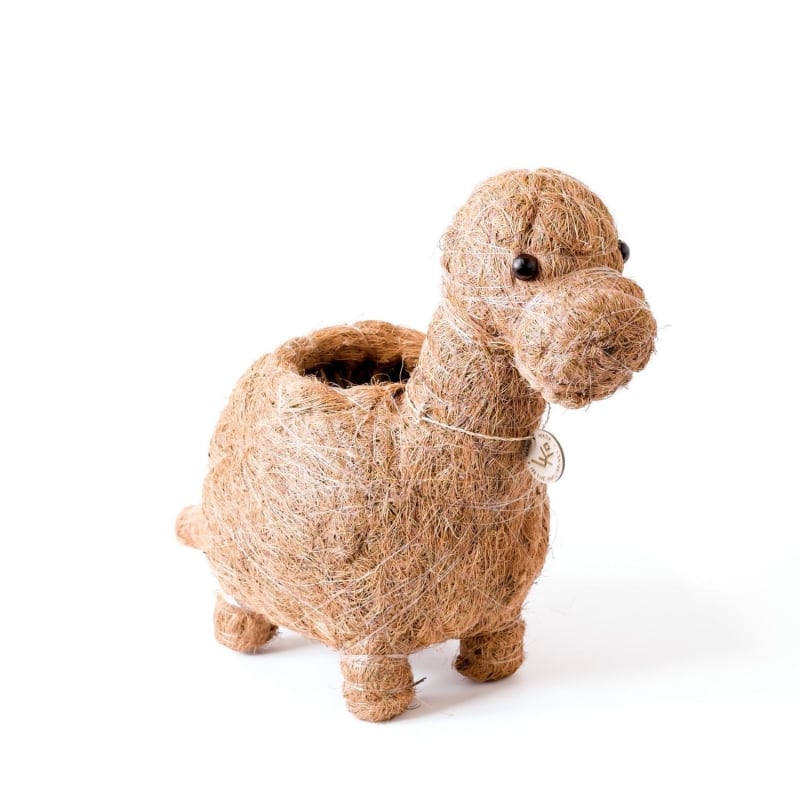 Thumbnail of Coco Coir Animal Planter - Brontosaurus image