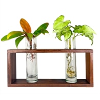 Double Walnut Plant Wall Vases image