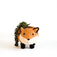 Coco Coir Animal Planter - Baby Fox image