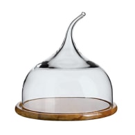 Senses Large Glass Dome With Wood Base image