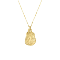 9Ct Gold Small Organic Medallion Necklace image