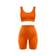 Hideaway Set: Ribbed Sports Bra & Biker Short Set – Floranz