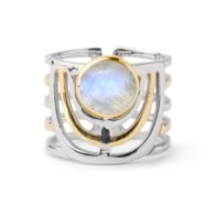 Solar Ring In Silver Gold & Moonstone image