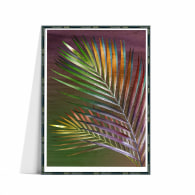 Mysterious Tropical Palm Leaf Fine Art Print image