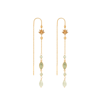Women s Earrings Wolf Badger