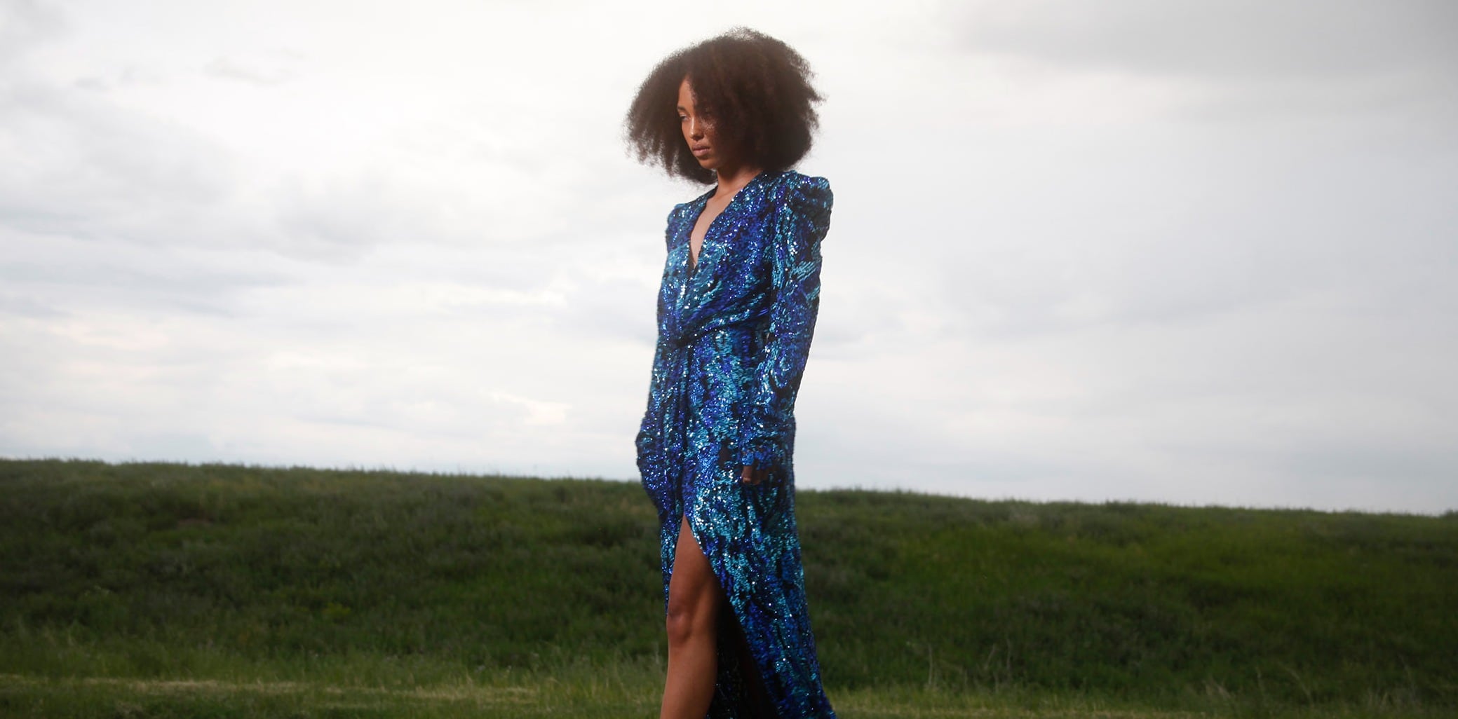 Dark Cloud Organza Bolero Jacket NARCES Wolf Badger