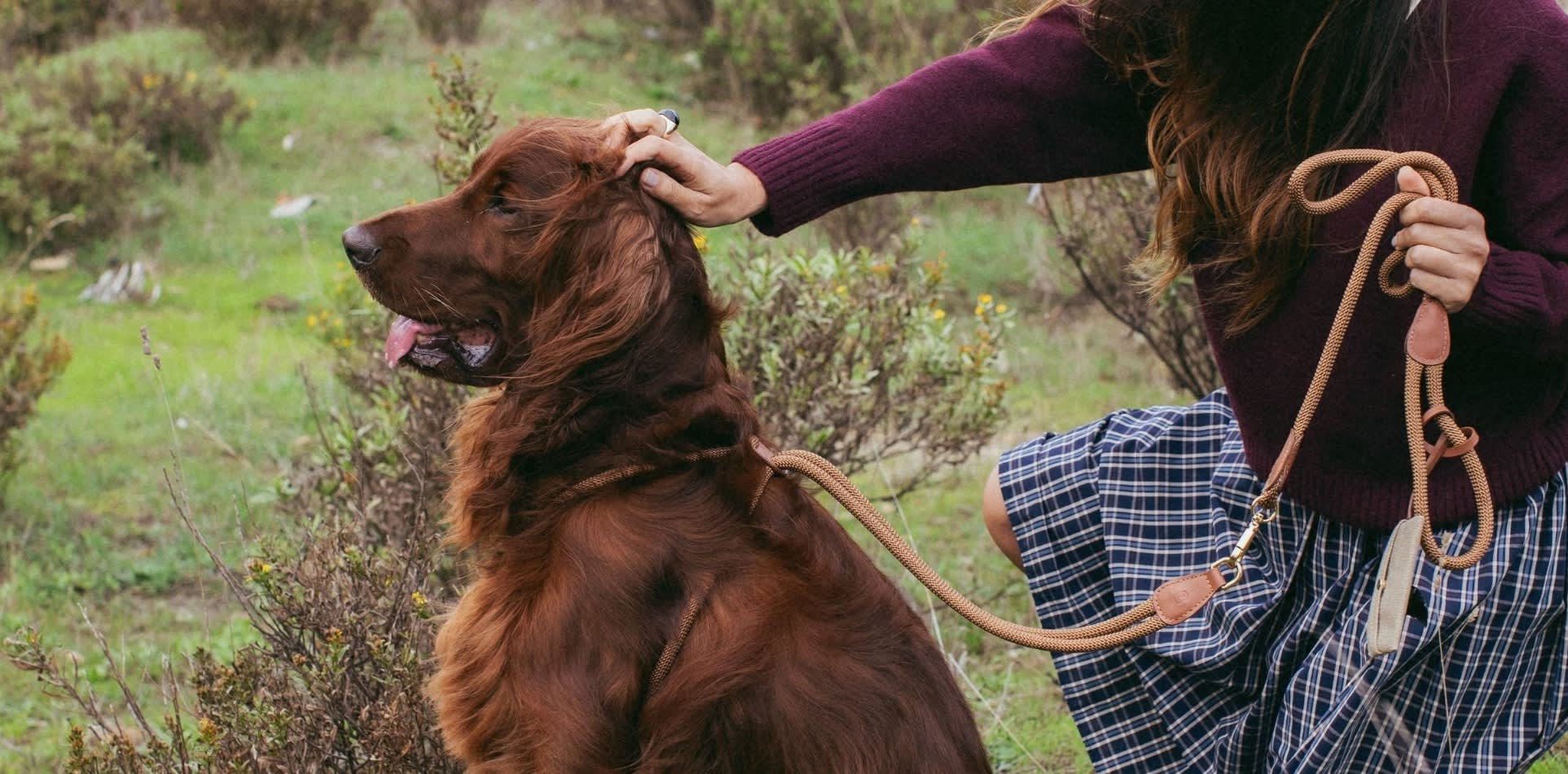 ZOË PET ATELIER
