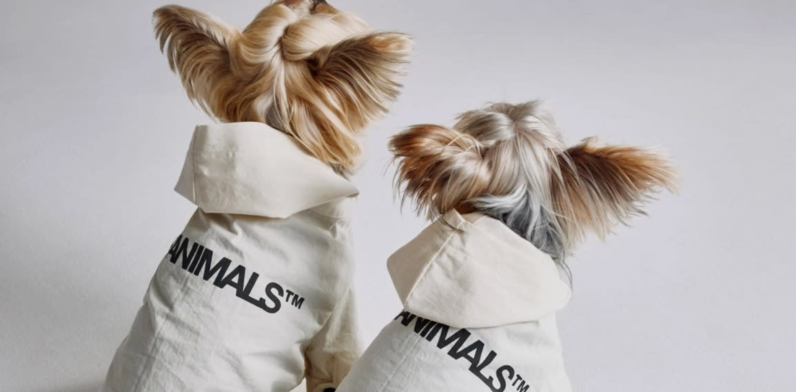 THEANIMALS