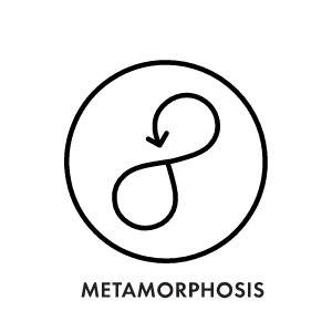 Metamorphosis