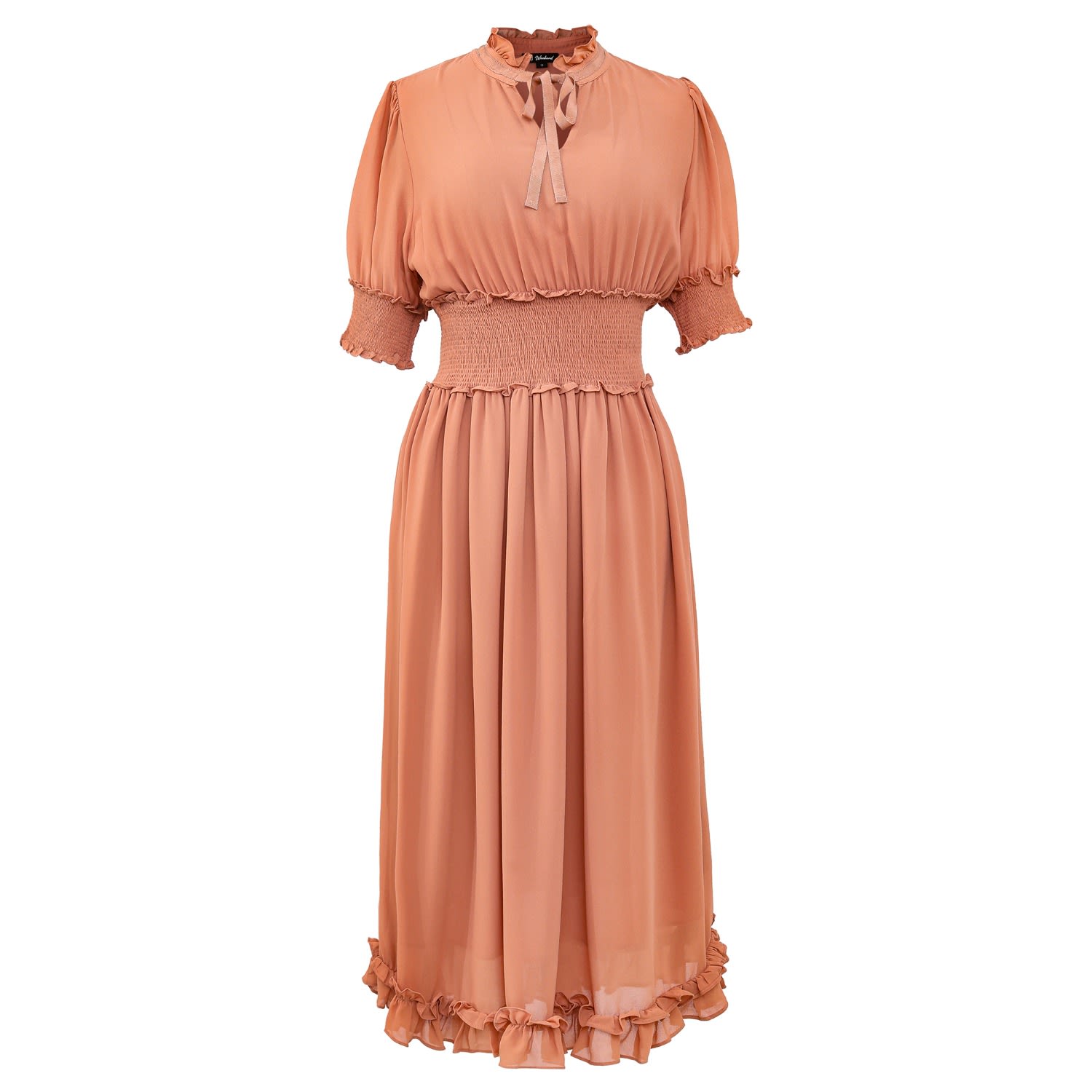 Chiffon Dress With Smocks And Small Ruffles - Salmon by Smart and Joy