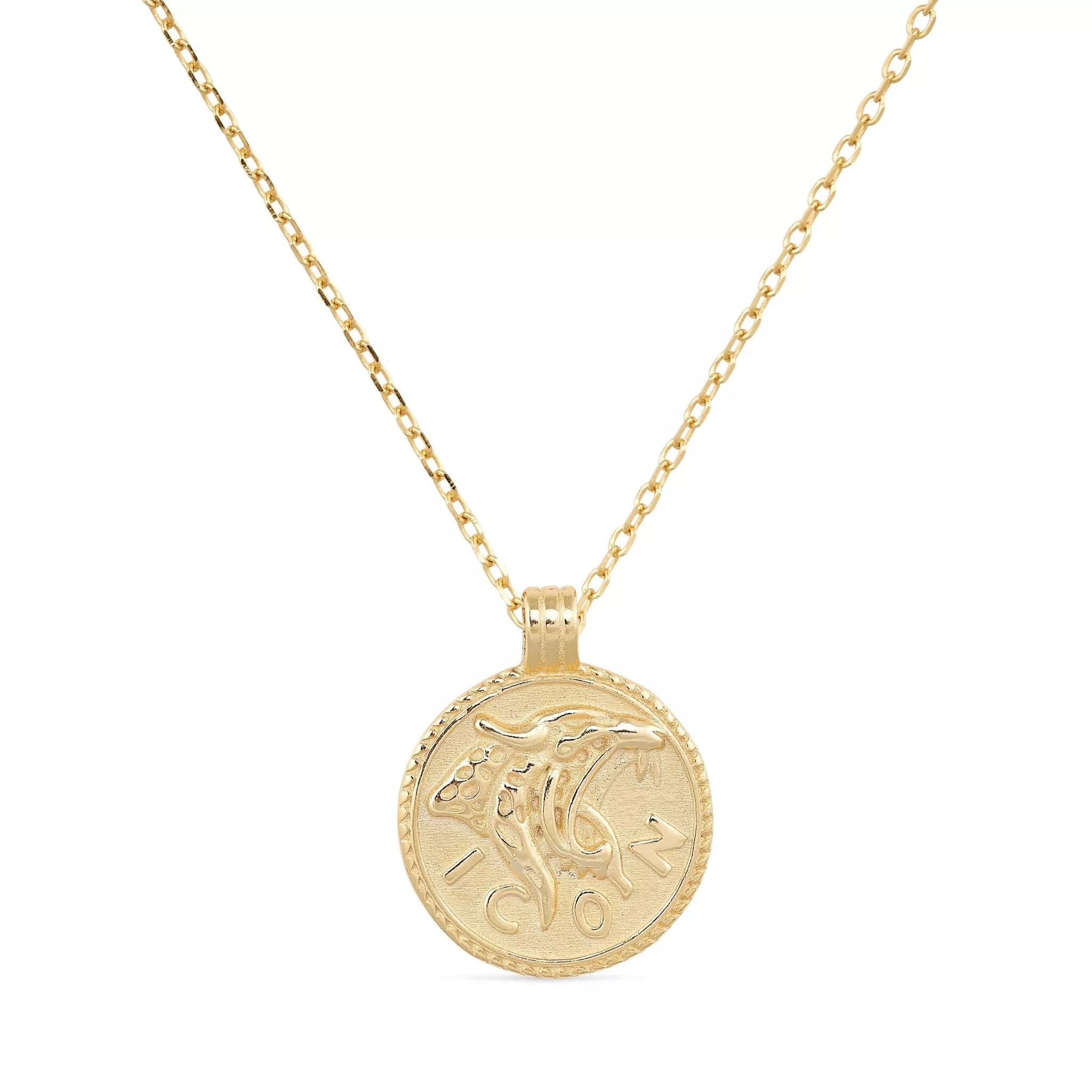 Chunky coin necklace discount