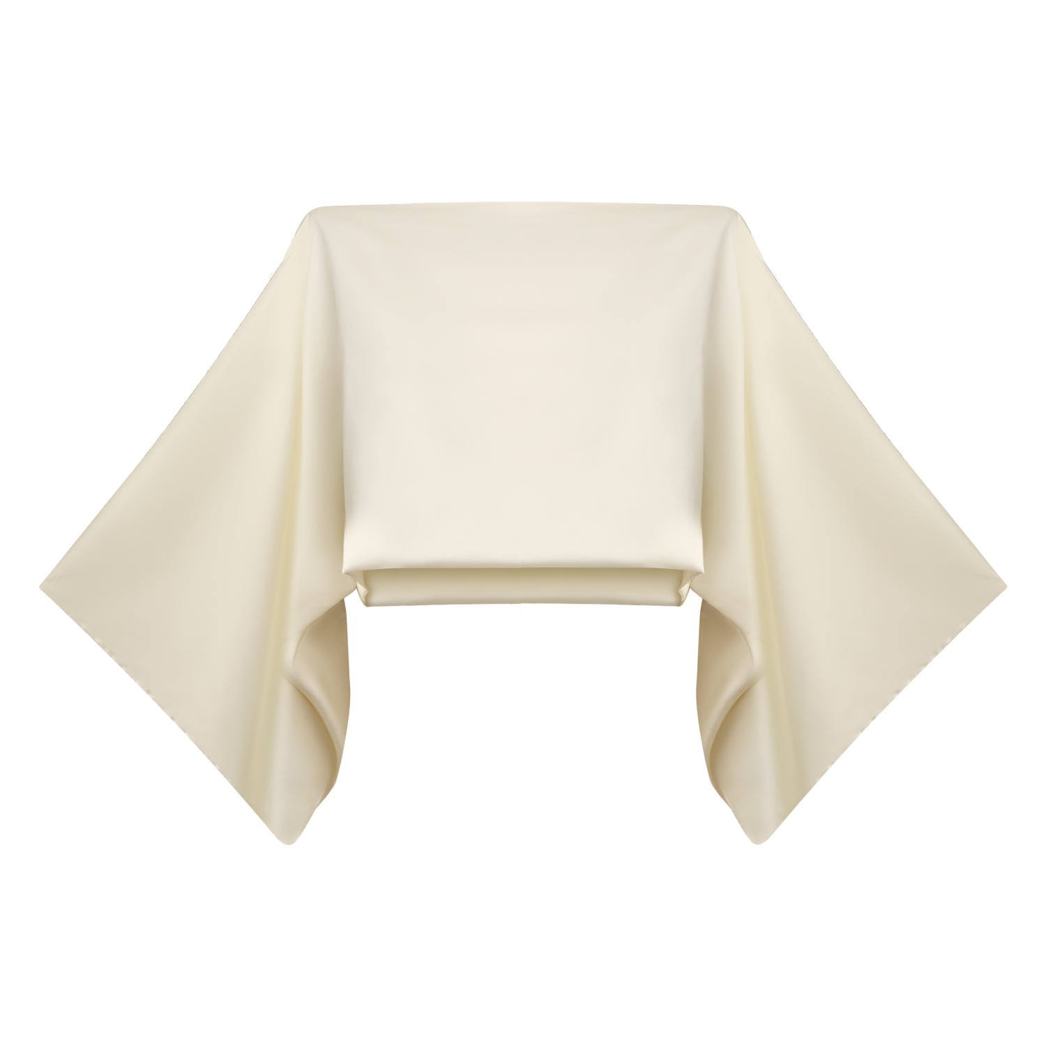 Lily Phellera Women's White Raya Top In White