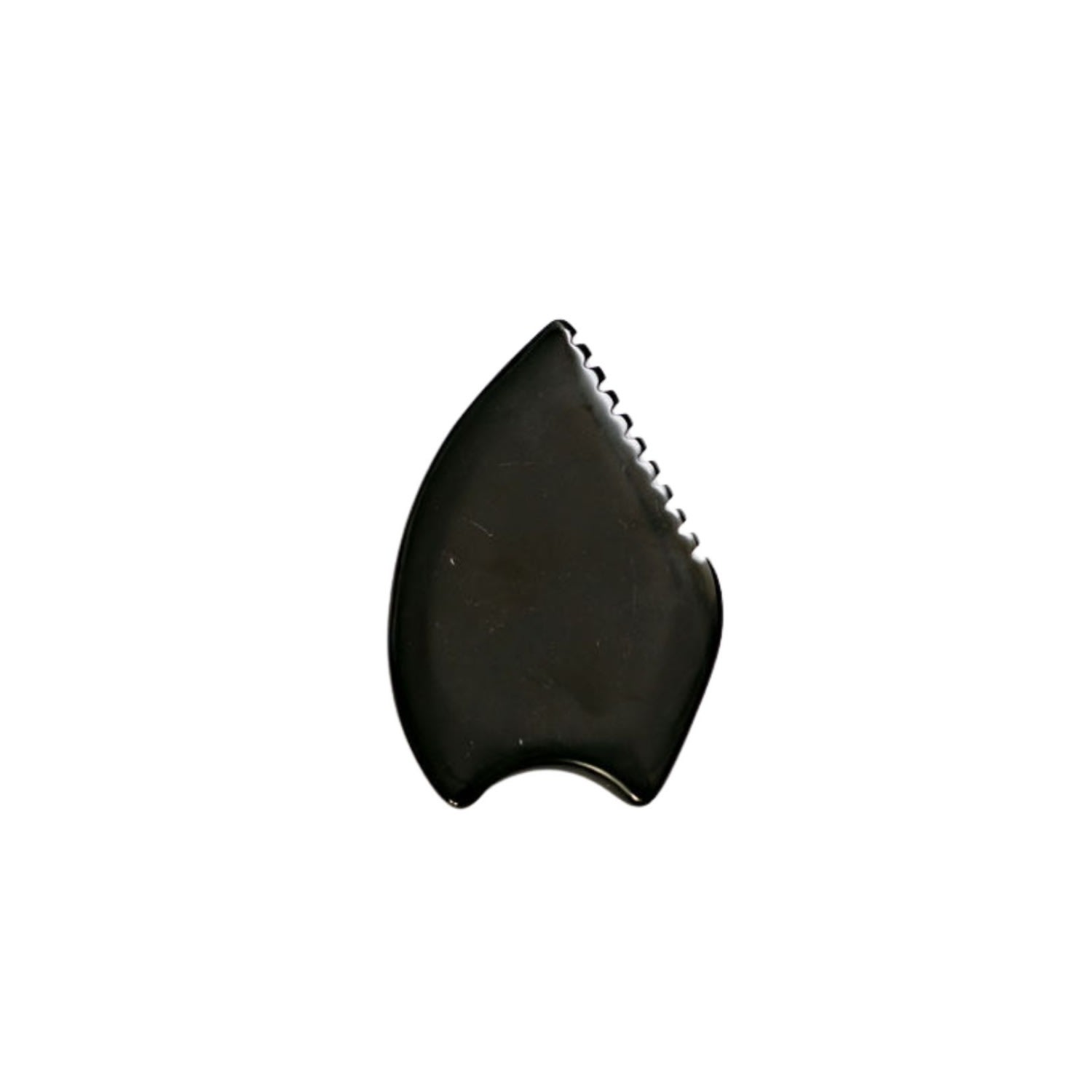 Lemuria Store Black Bian Stone Gua Sha In Black