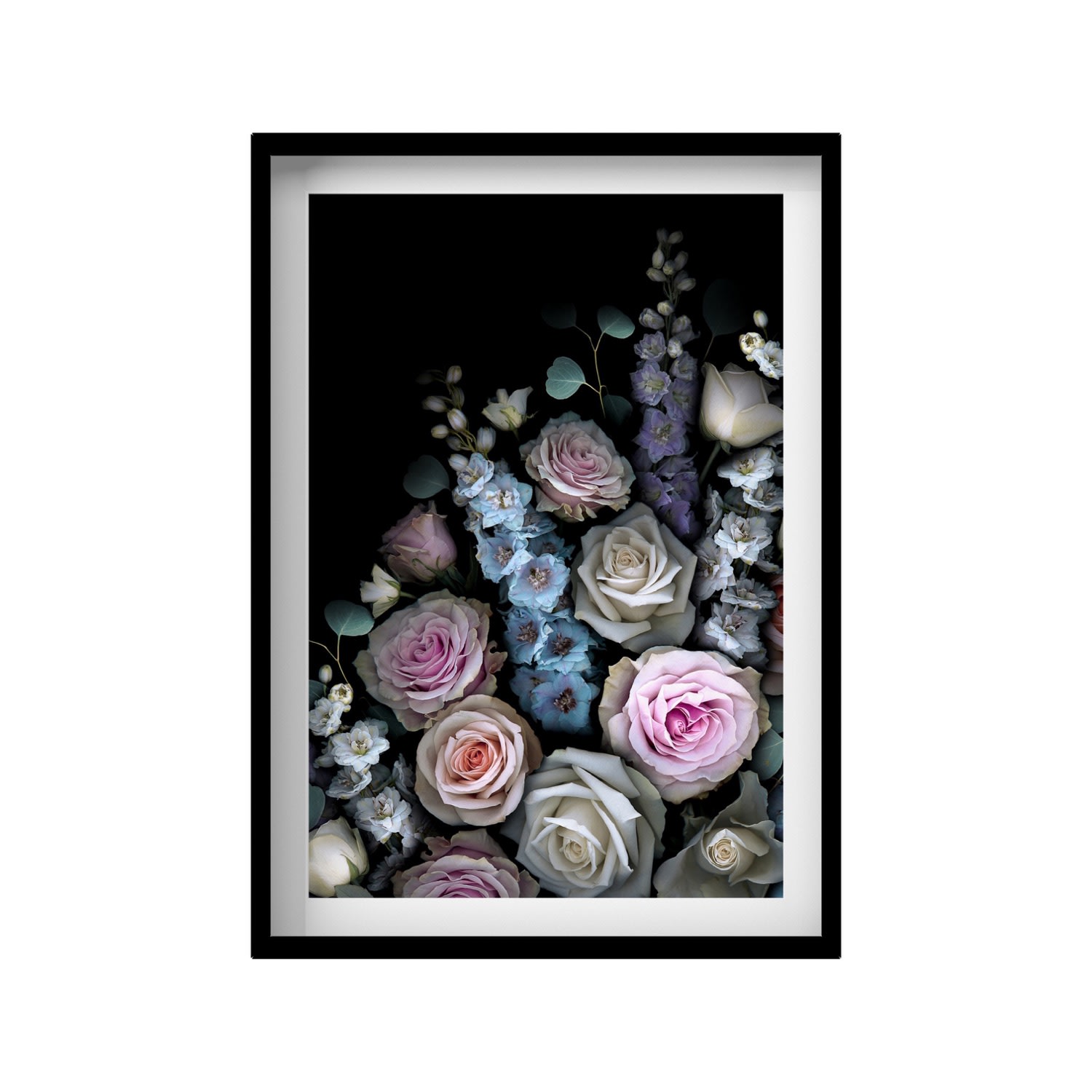 Black / Pink / Purple Delphinium Rose Large Print A2 420 X 594Mm Francesca Wild