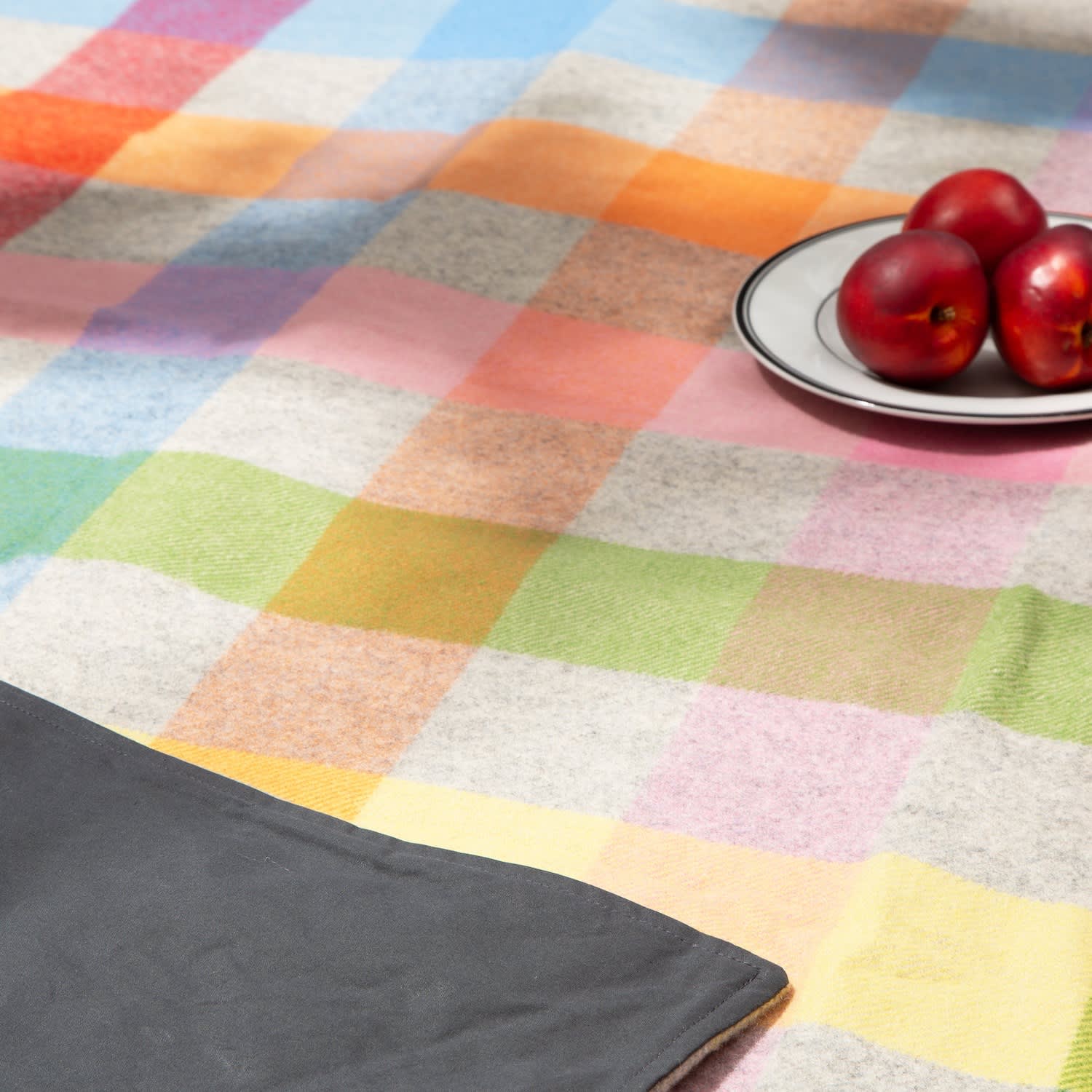 Wolf and badger picnic blanket sale