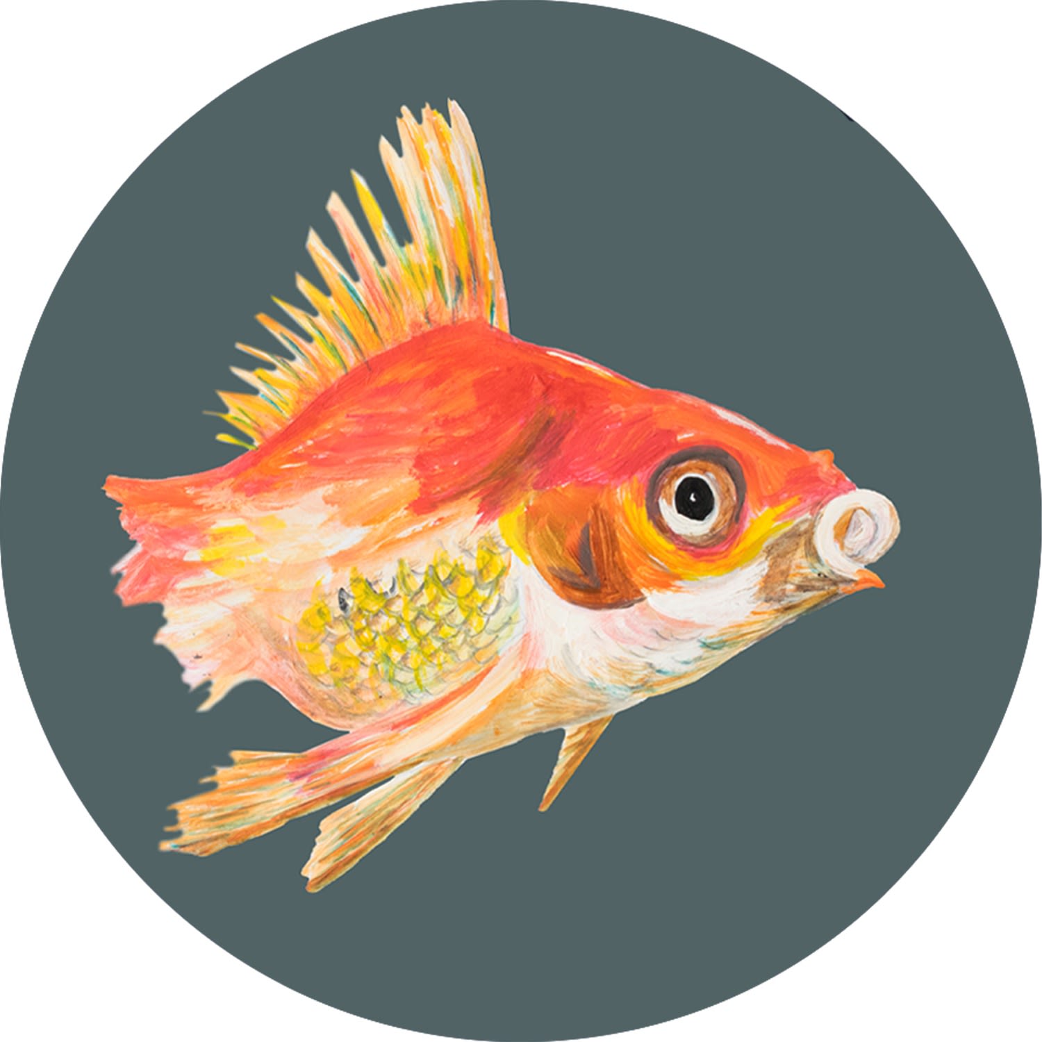 Yellow / Orange Circle Wall Sticker Fish Catchii