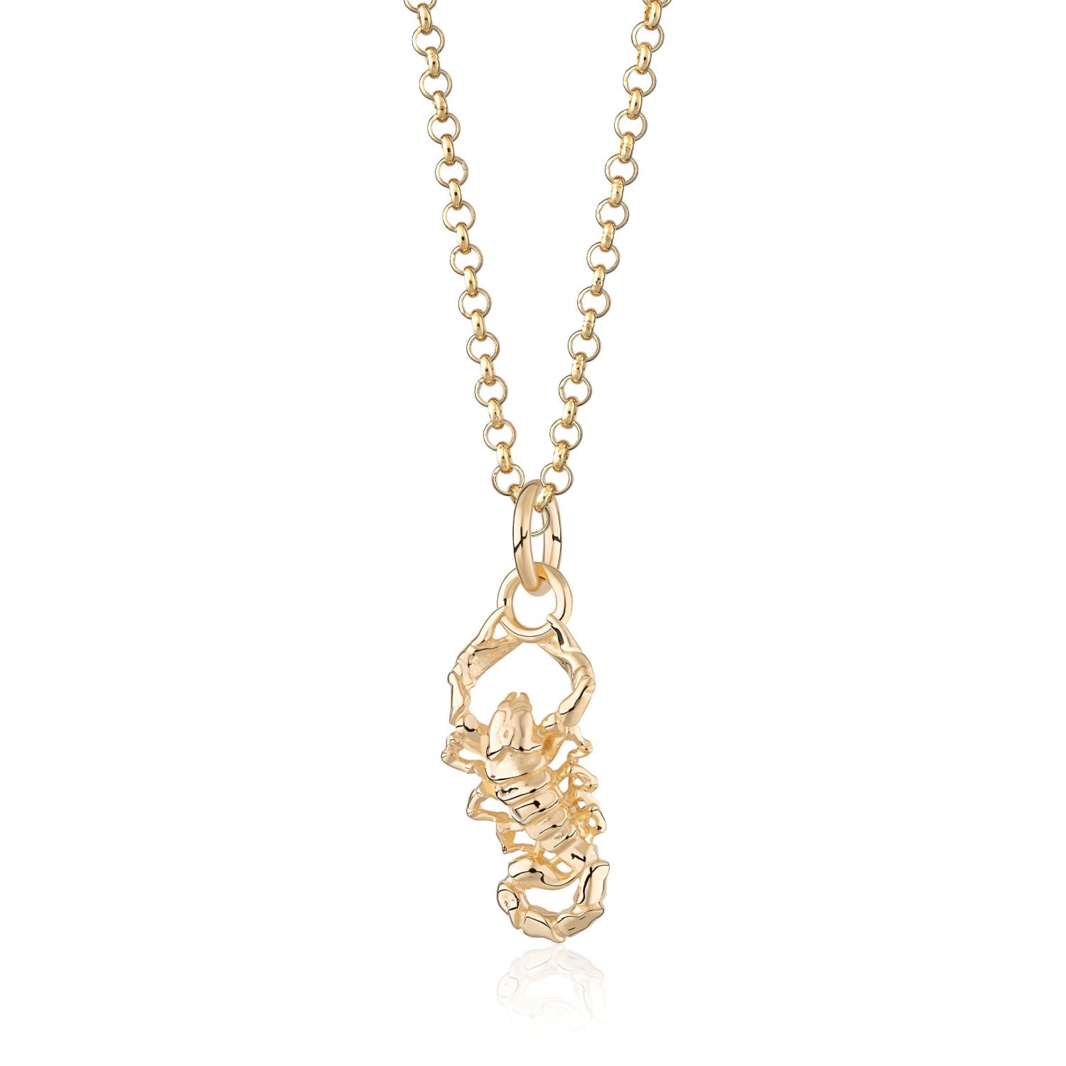 Women’s Gold Scorpion Necklace Scream Pretty