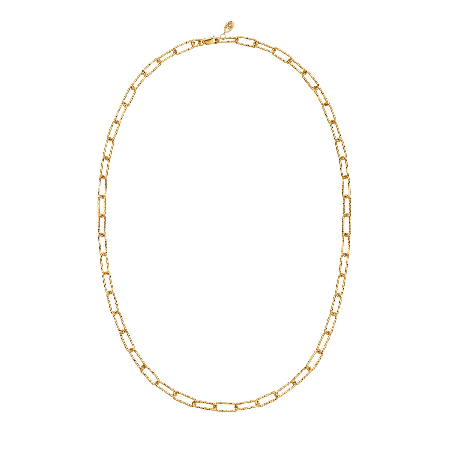 Cote Cache Women's Asteria Textured Gold Chain Necklace In Gold