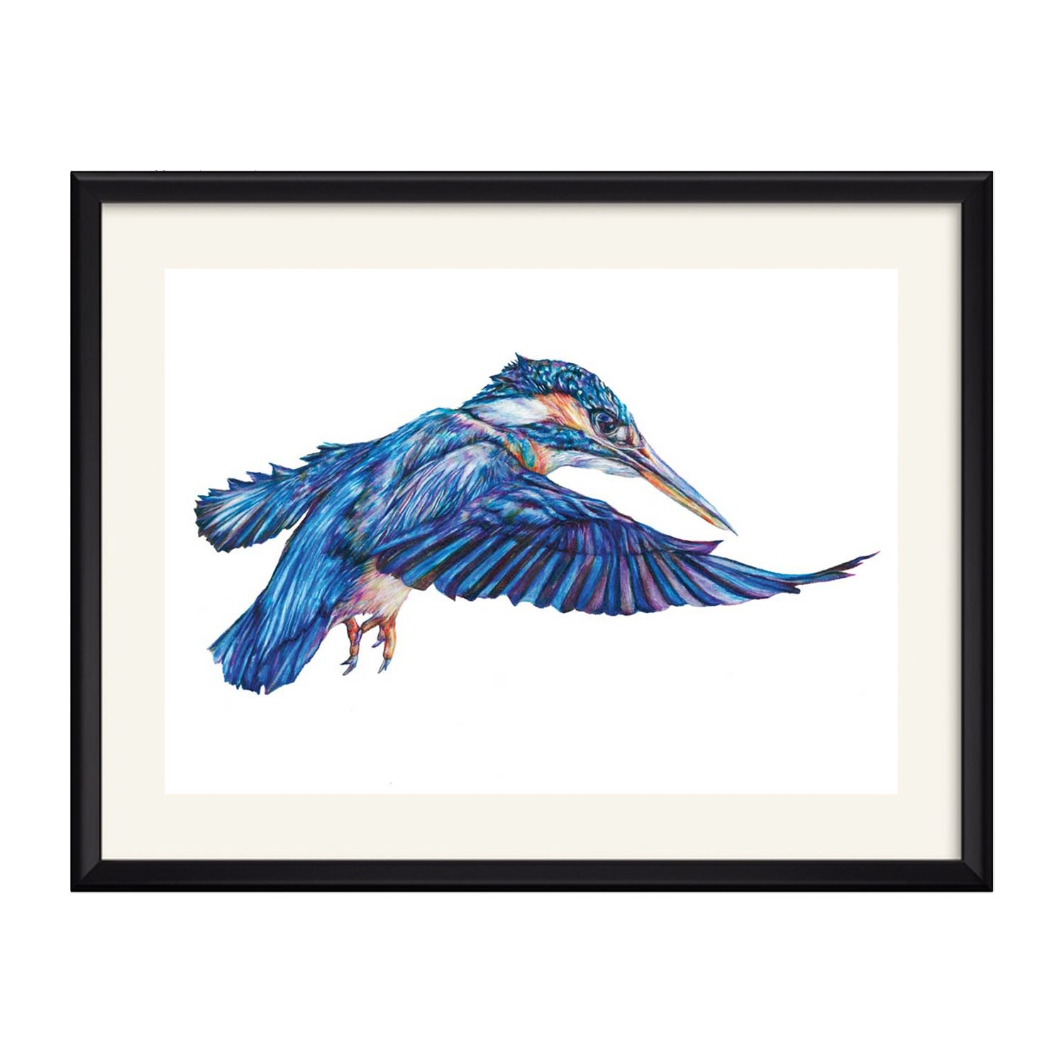 Kingfisher Art Print Claudine O’sullivan Illustration & Design