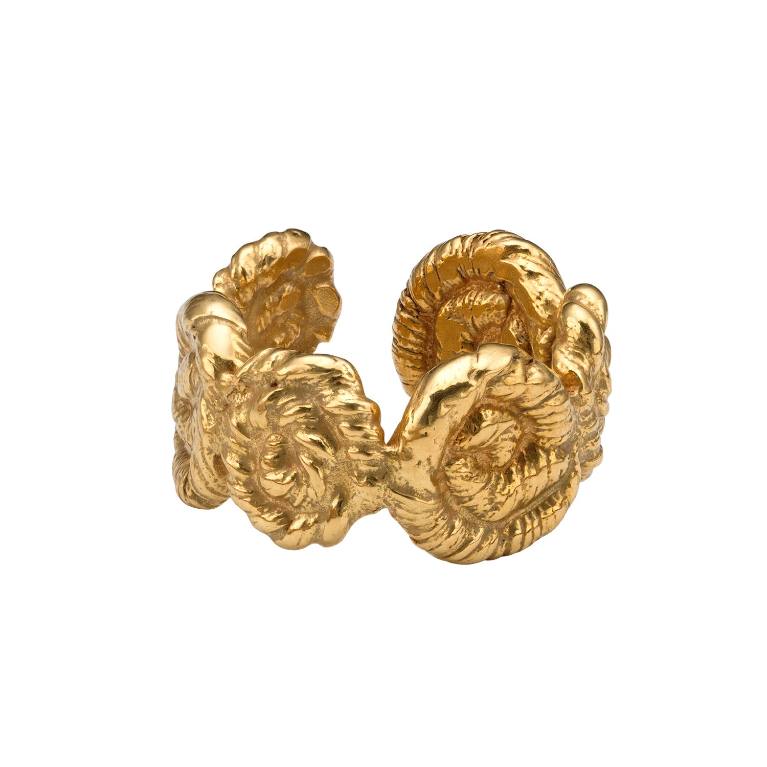 Shop Eva Remenyi Women's Nautilus Chunky Ring Gold