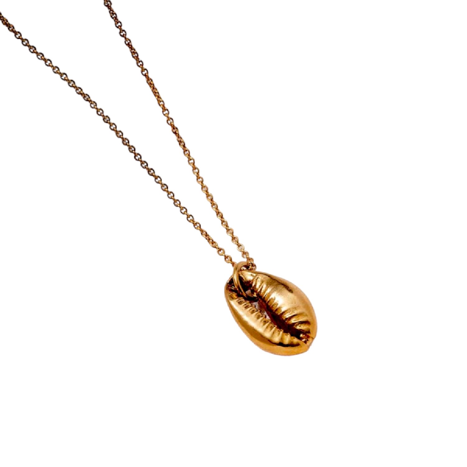 Women’s Yellow Gold Plated Cowrie Shell Necklace Posh Totty Designs