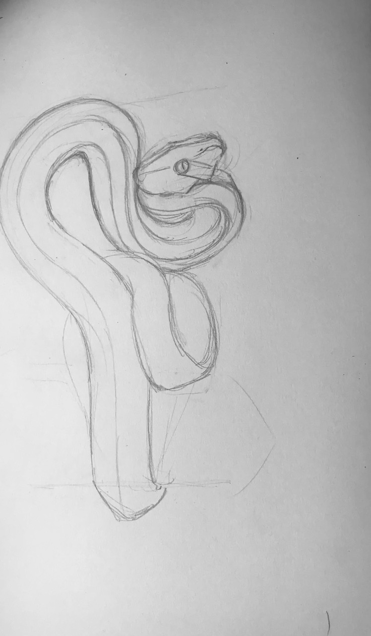 Snake Illustration With Emily Carter | Wolf & Badger