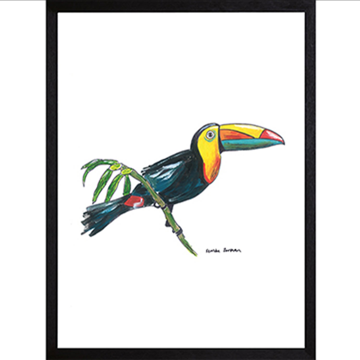 Toucan Fine Art Print A3 Catchii