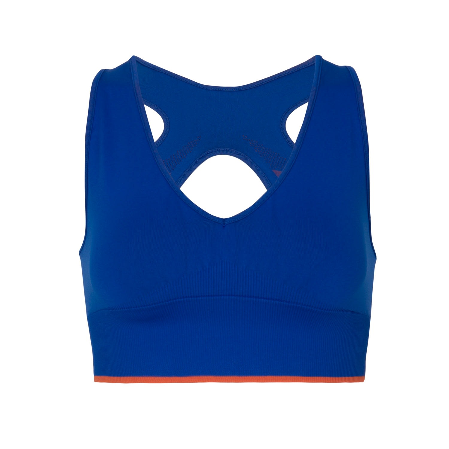 electric blue sports bra