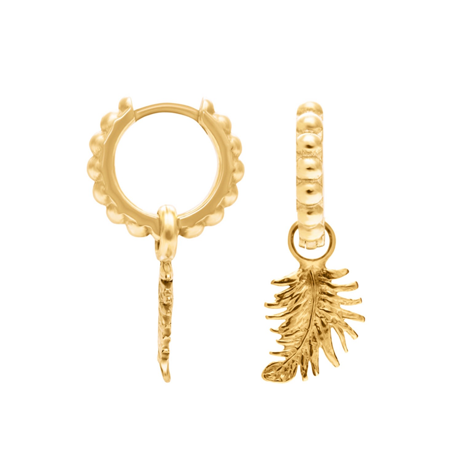 Dower & Hall Women's 18ct Yellow Gold Vermeil Feather Charm Dotty Hoops In Gold