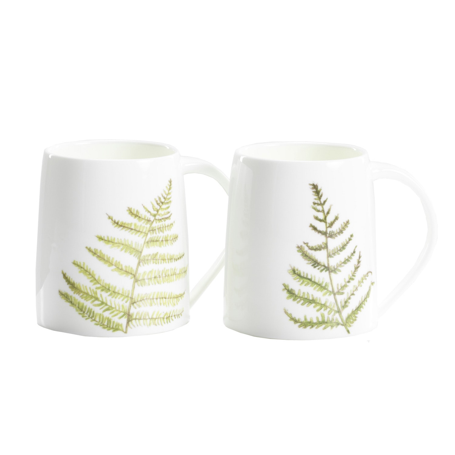 Neutrals Fern Mugs - Broad Leaf & Pointed Leaf Ferns Helen Beard