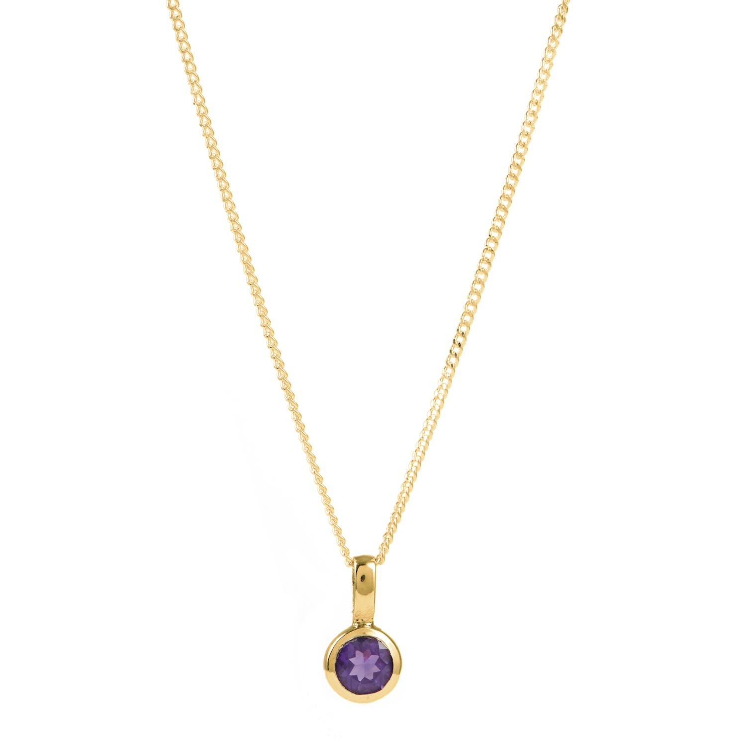 Women’s February Birthstone Charm Gold Vermeil Necklace - Amethyst Charlotte’s Web Jewellery