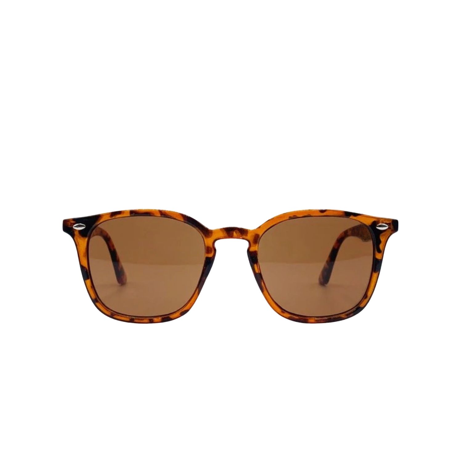 Hortons England Women's Brown Wayfarer Tortoiseshell Sunglasses