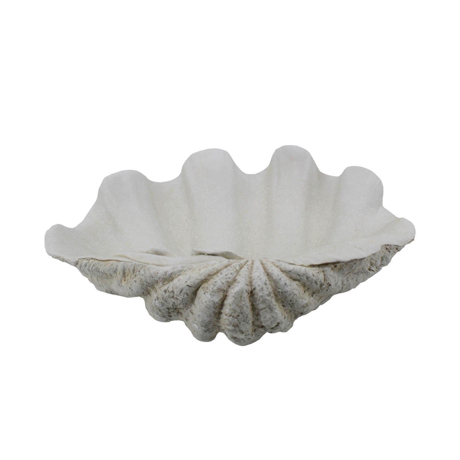 white clam shell