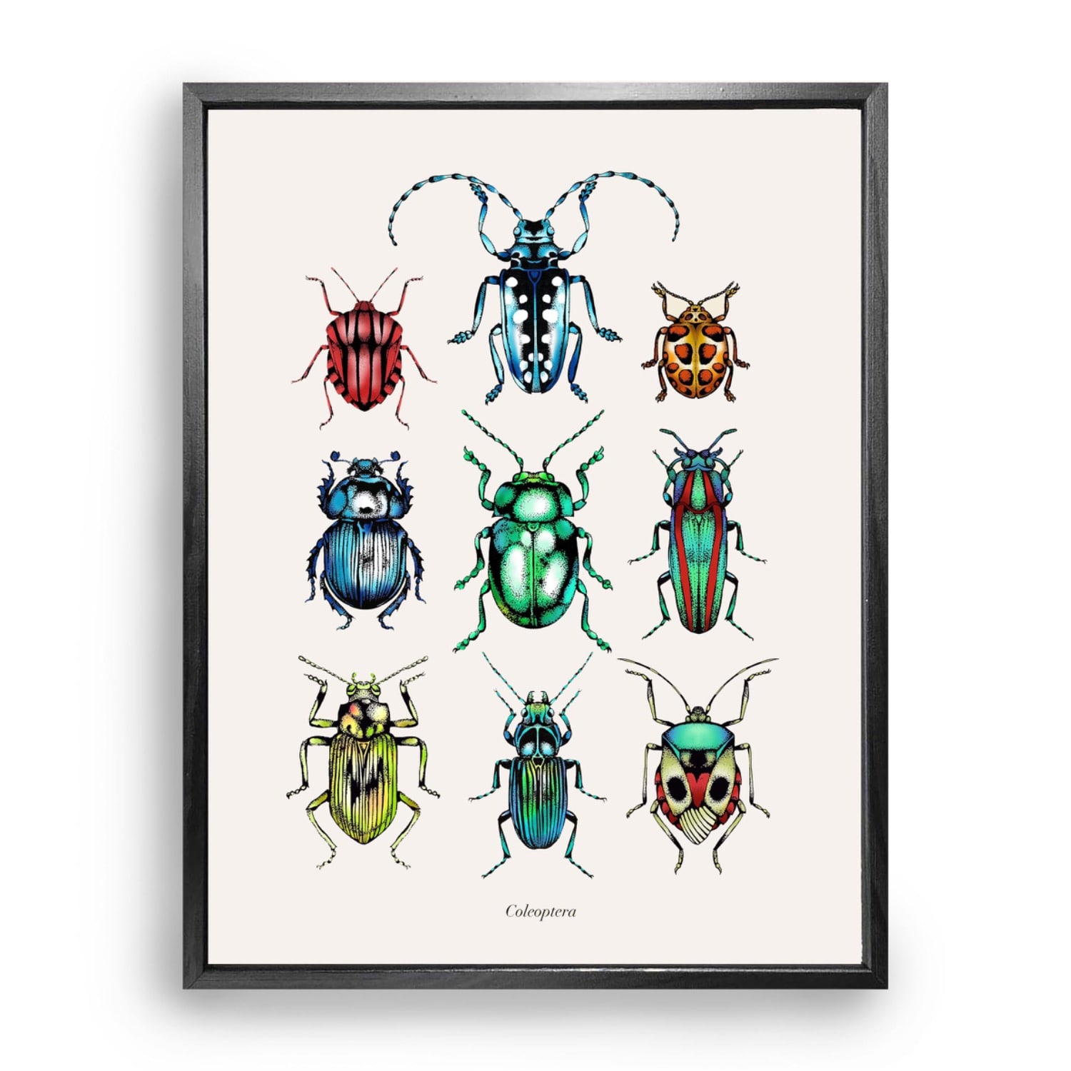 Emily Carter 'antique Tropical Beetles' Fine Art Print A4 In Multi