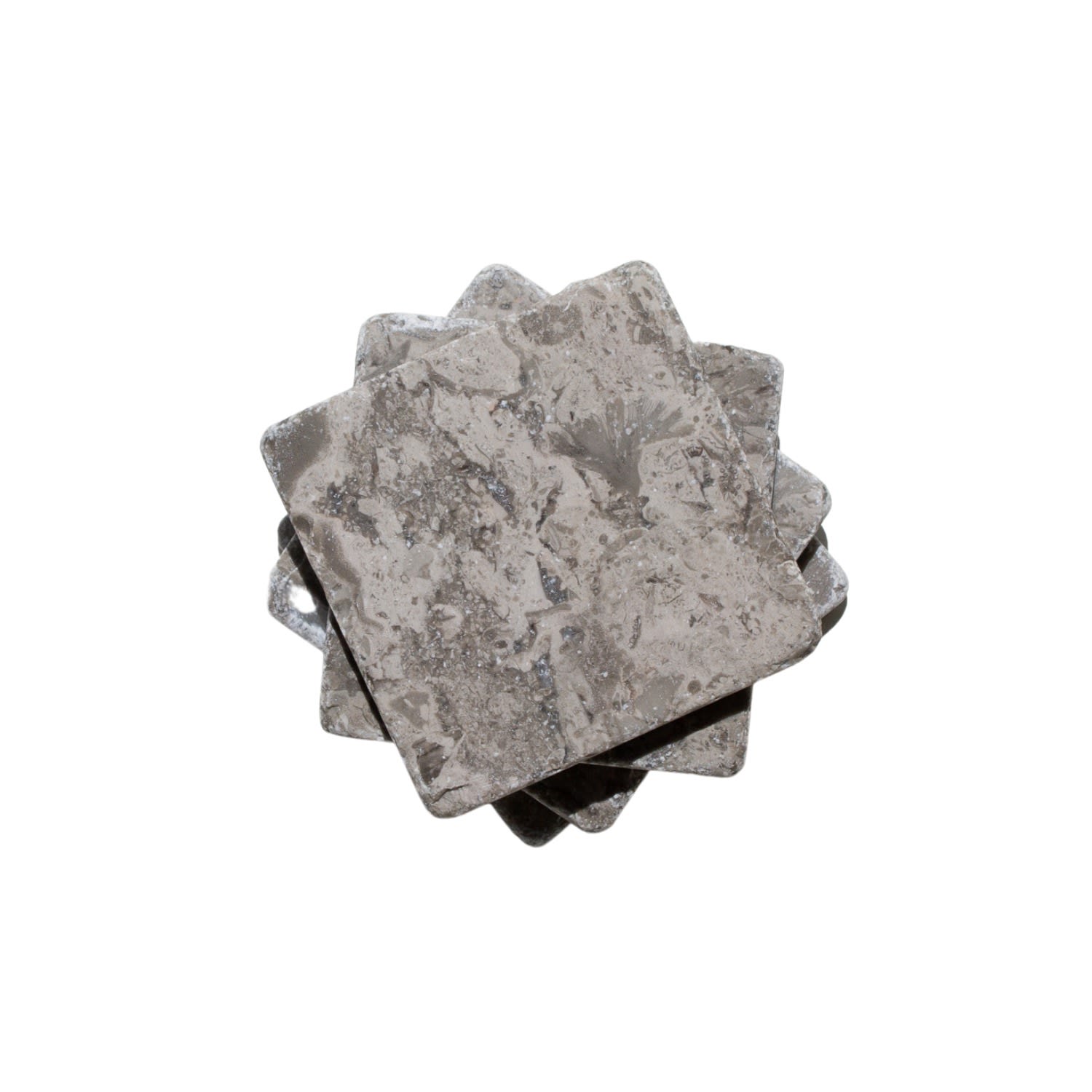 The Parmatile Shop Brown Fossil Marble Coaster Set In Brown