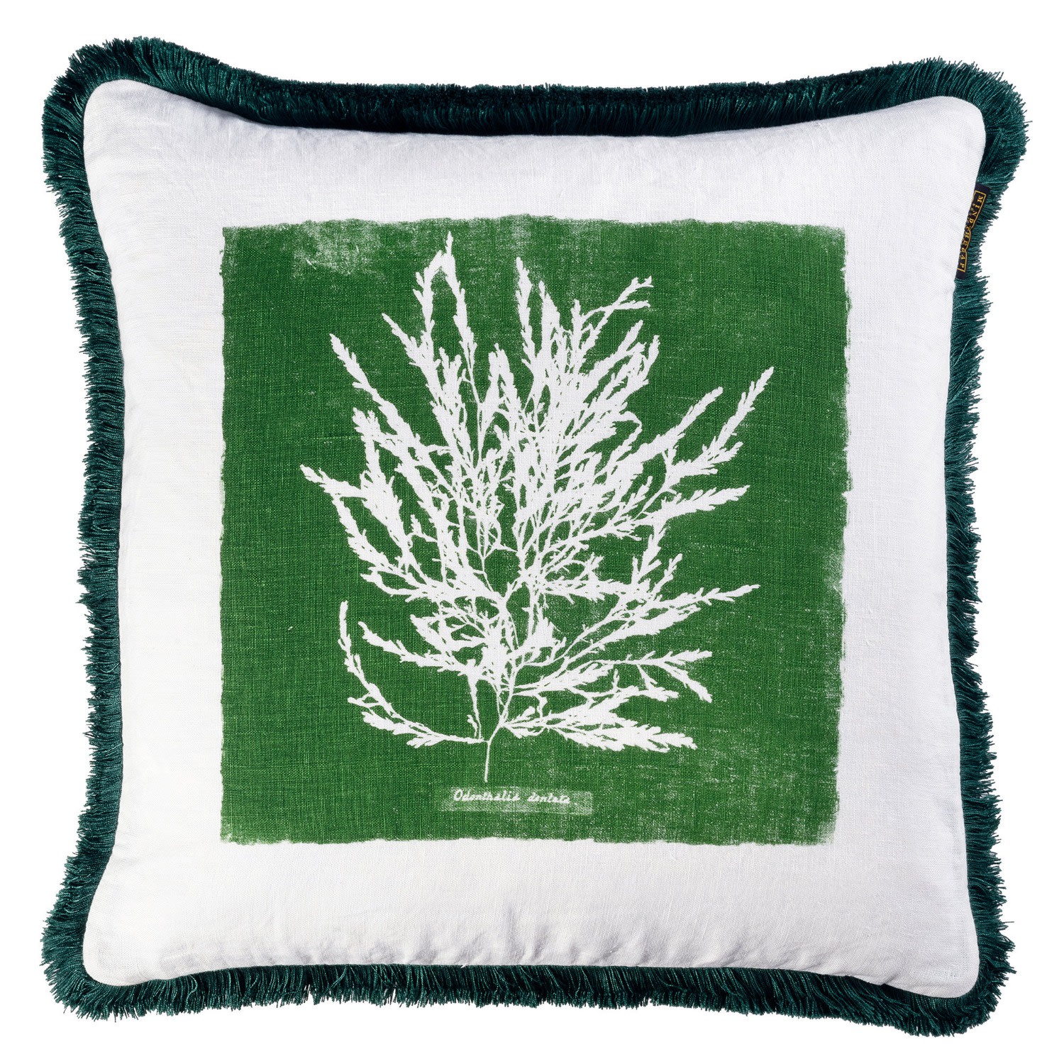 Green / White Algae I Linen Square Cushion Mindthegap
