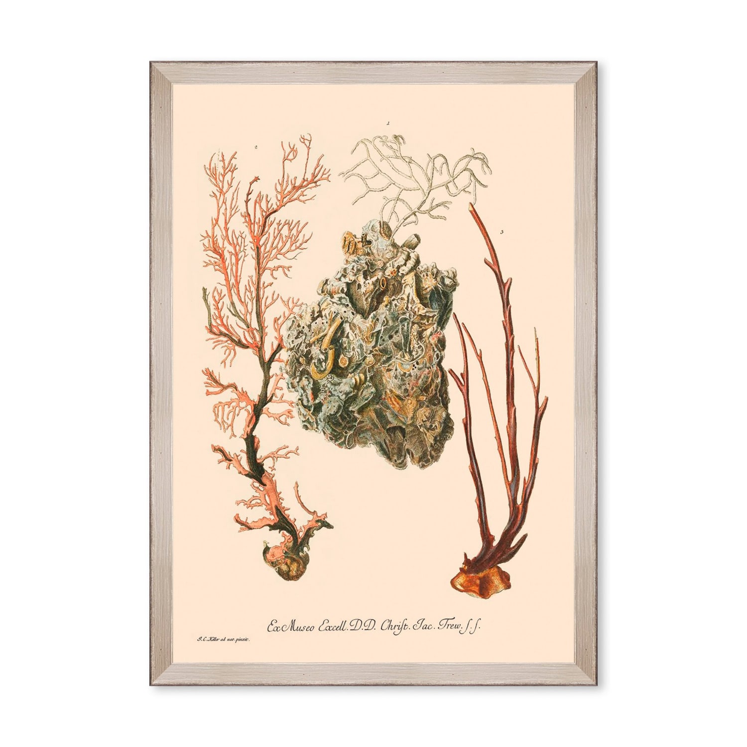 Mindthegap Neutrals Deliciae Naturale Three Framed Art In Multi