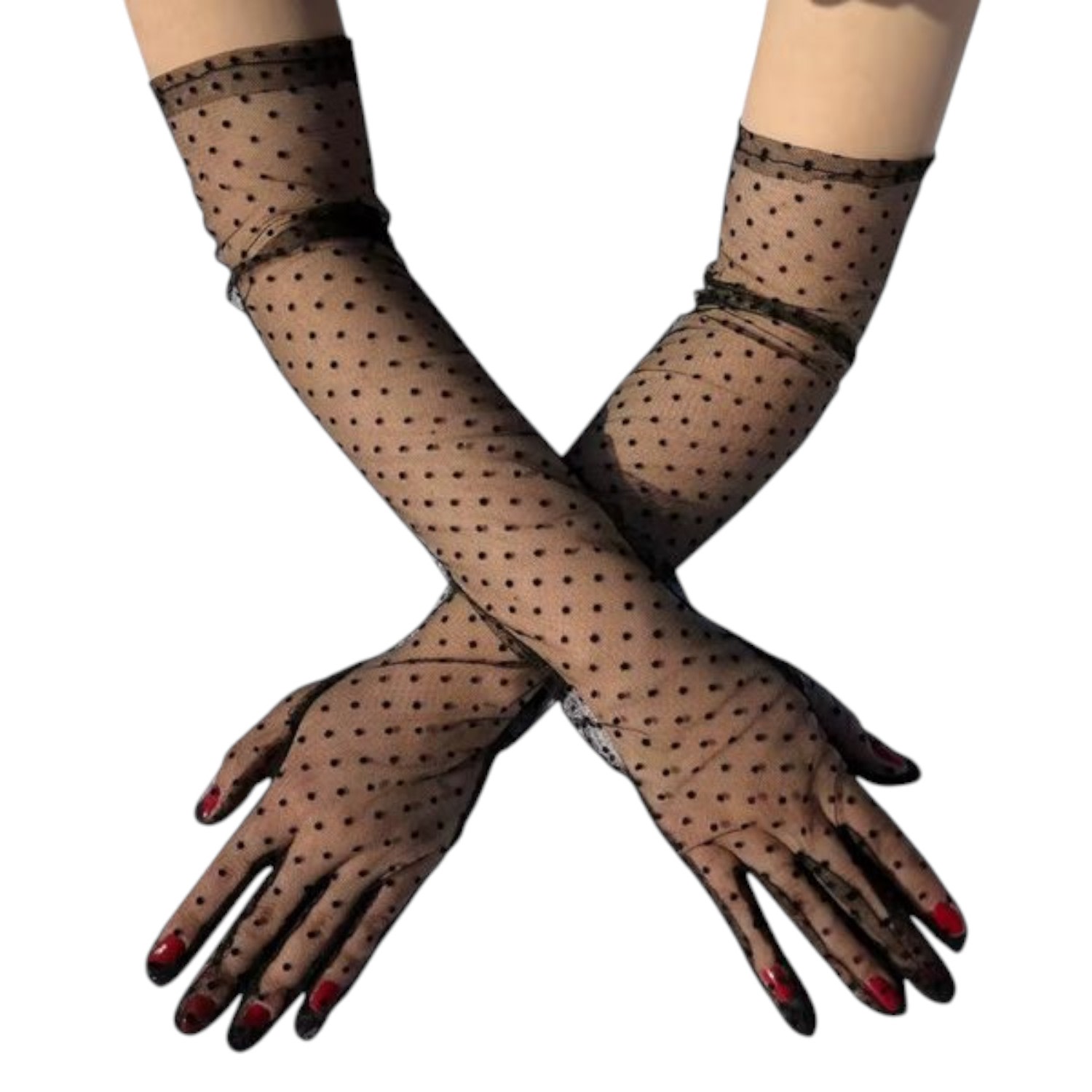High Heel Jungle By Kathryn Eisman Women's Point D Esprit Tulle Opera Gloves Black In Black