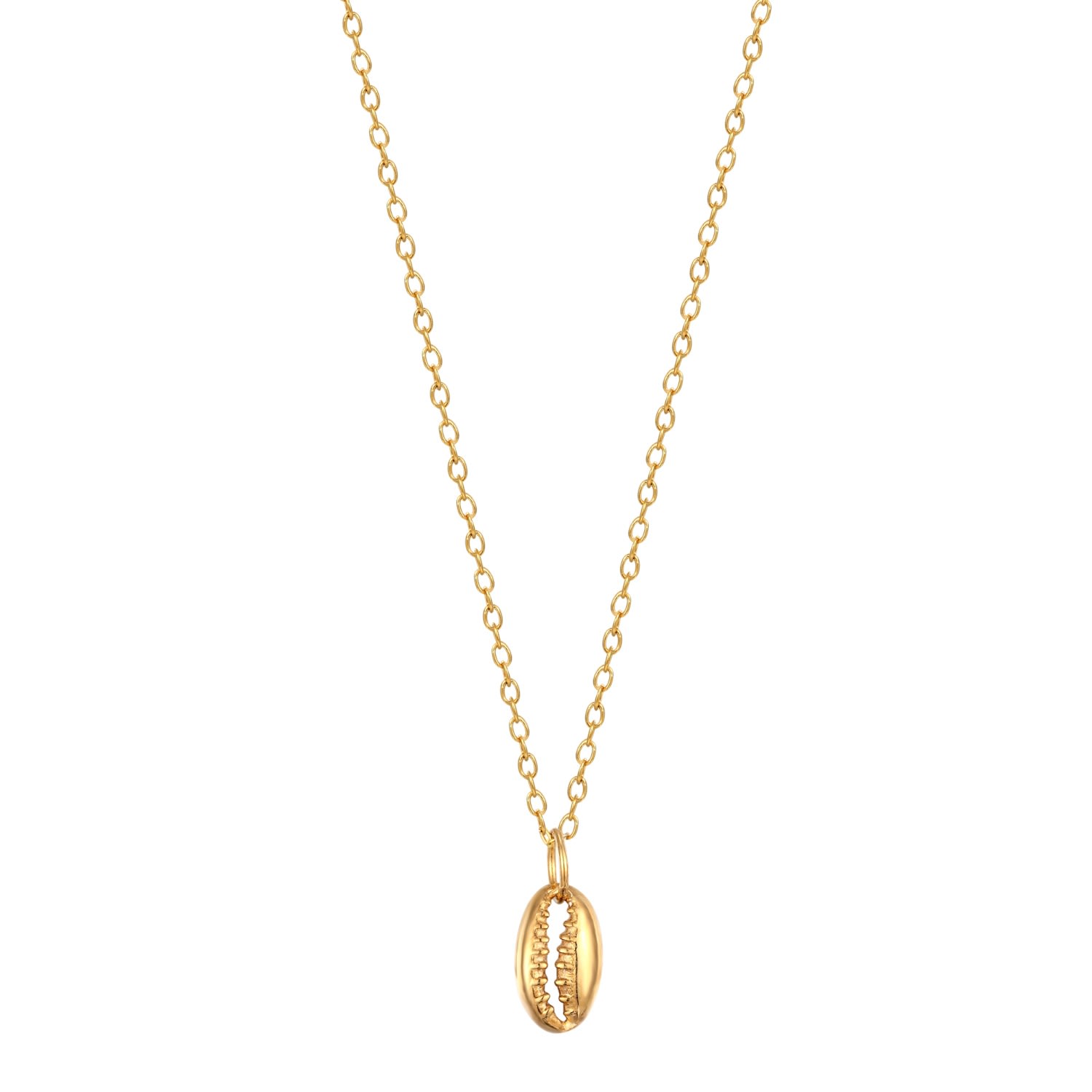 Women’s 22Ct Gold Vermeil Tiny Cowrie Shell Charm Necklace Seol + Gold