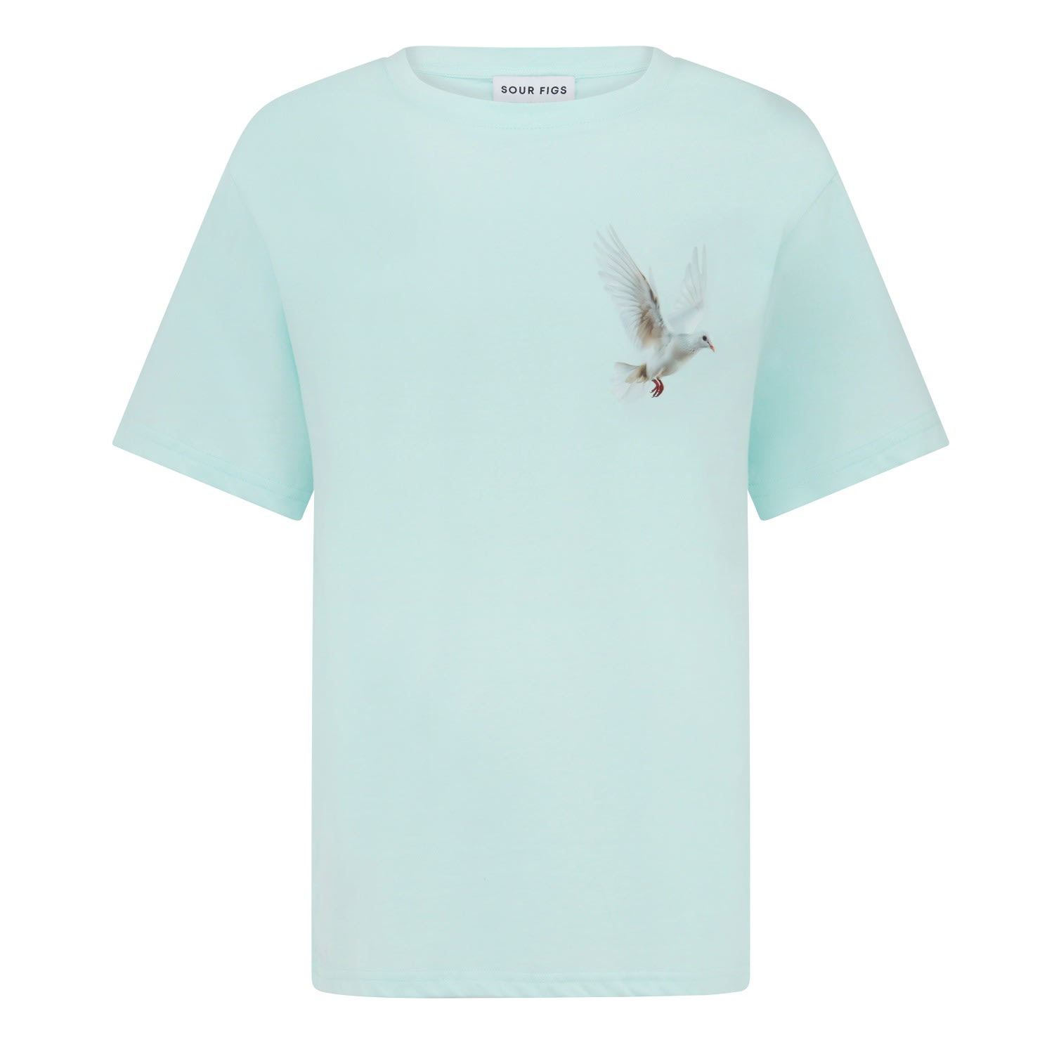 Sour Figs Flying Dove T-shirt In Light Mint Green - Men In Green