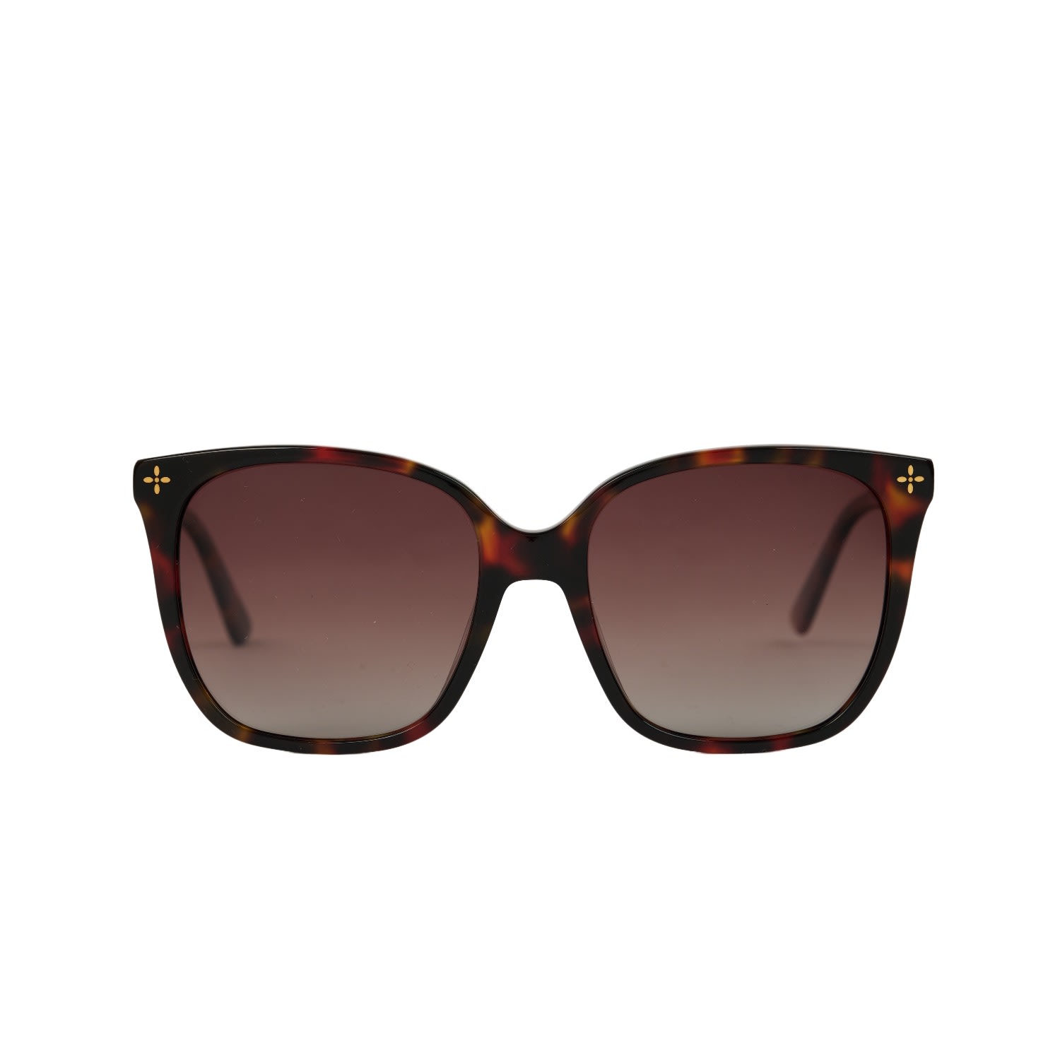 Women’s Brown Vienna Sunglasses One Size Murielle