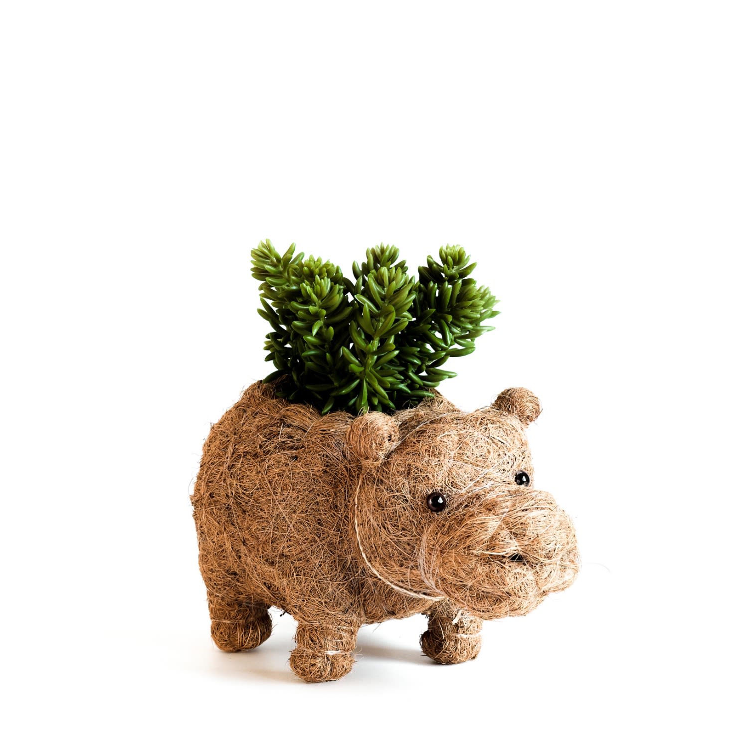 Likha Brown Coco Coir Animal Planter Baby Hippo In Neutral