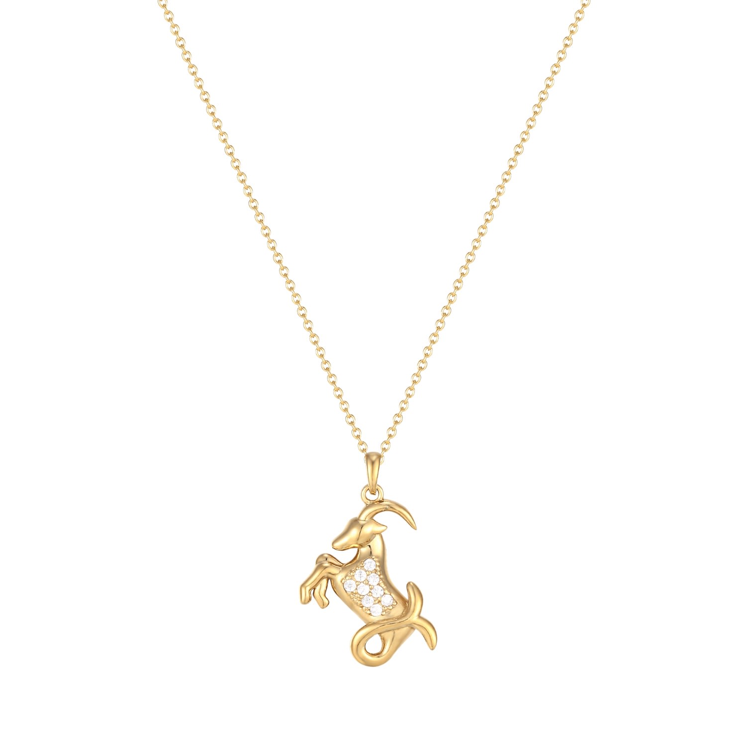 Women’s 22Ct Gold Vermeil Capricorn Zodiac Sign Necklace Seol + Gold