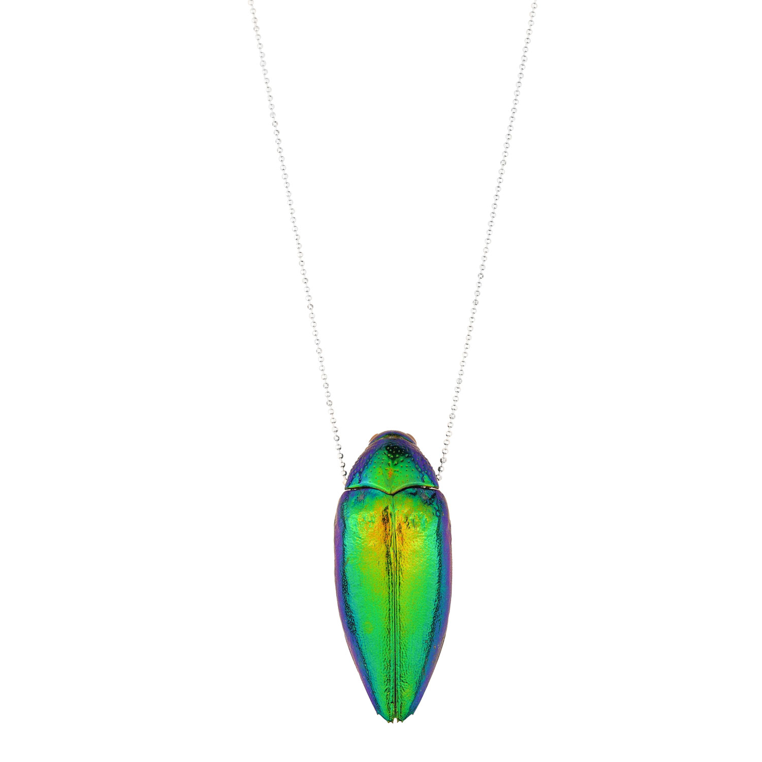 Oanasavu.creations Women's Green / Silver Sterling Silver Necklace Real Beetle Insect Pendant