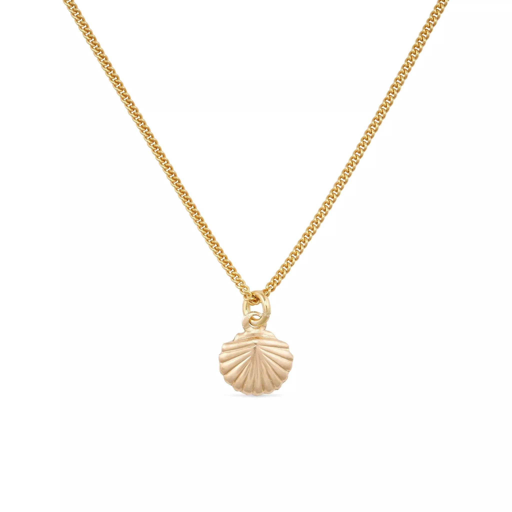 Women’s Dainty Gold Shell Clam Necklace Elk & Bloom - Everyday Fine Jewellery