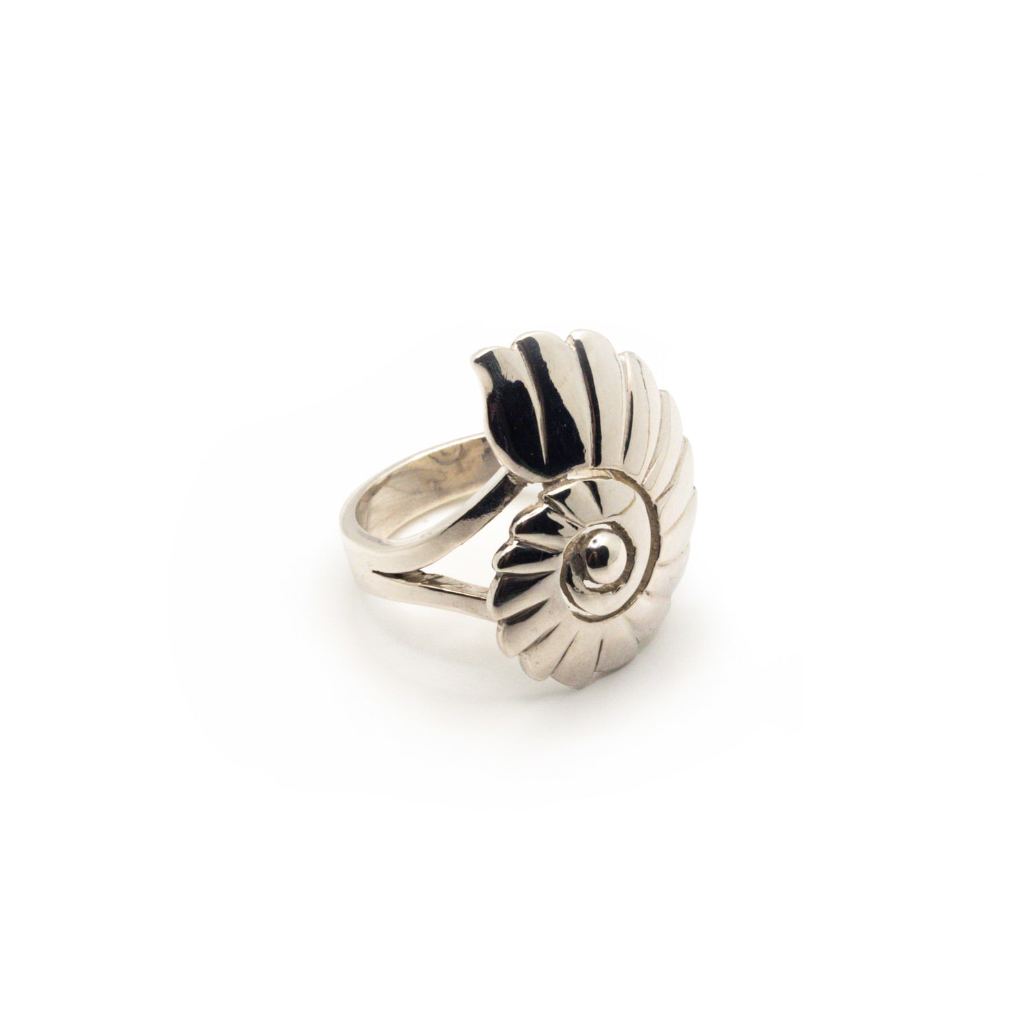 Women’s Silver Nautilus Shell Ring Sippi