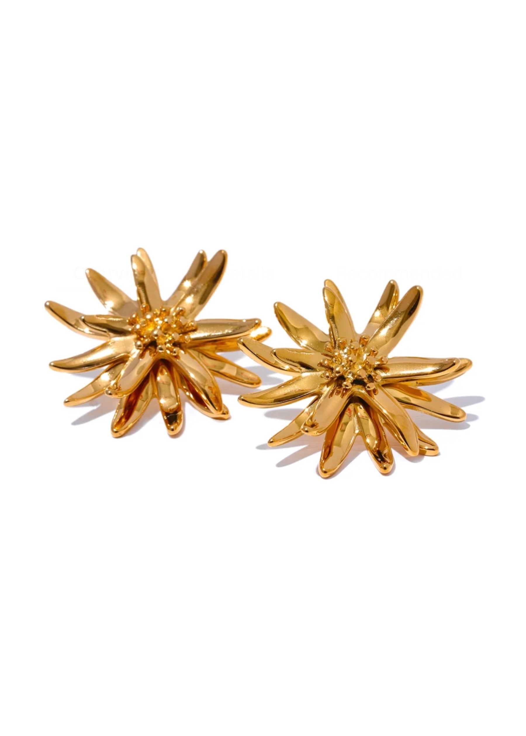 Women&rsquo;s Gold Serafina Earrings | Decolet the Label