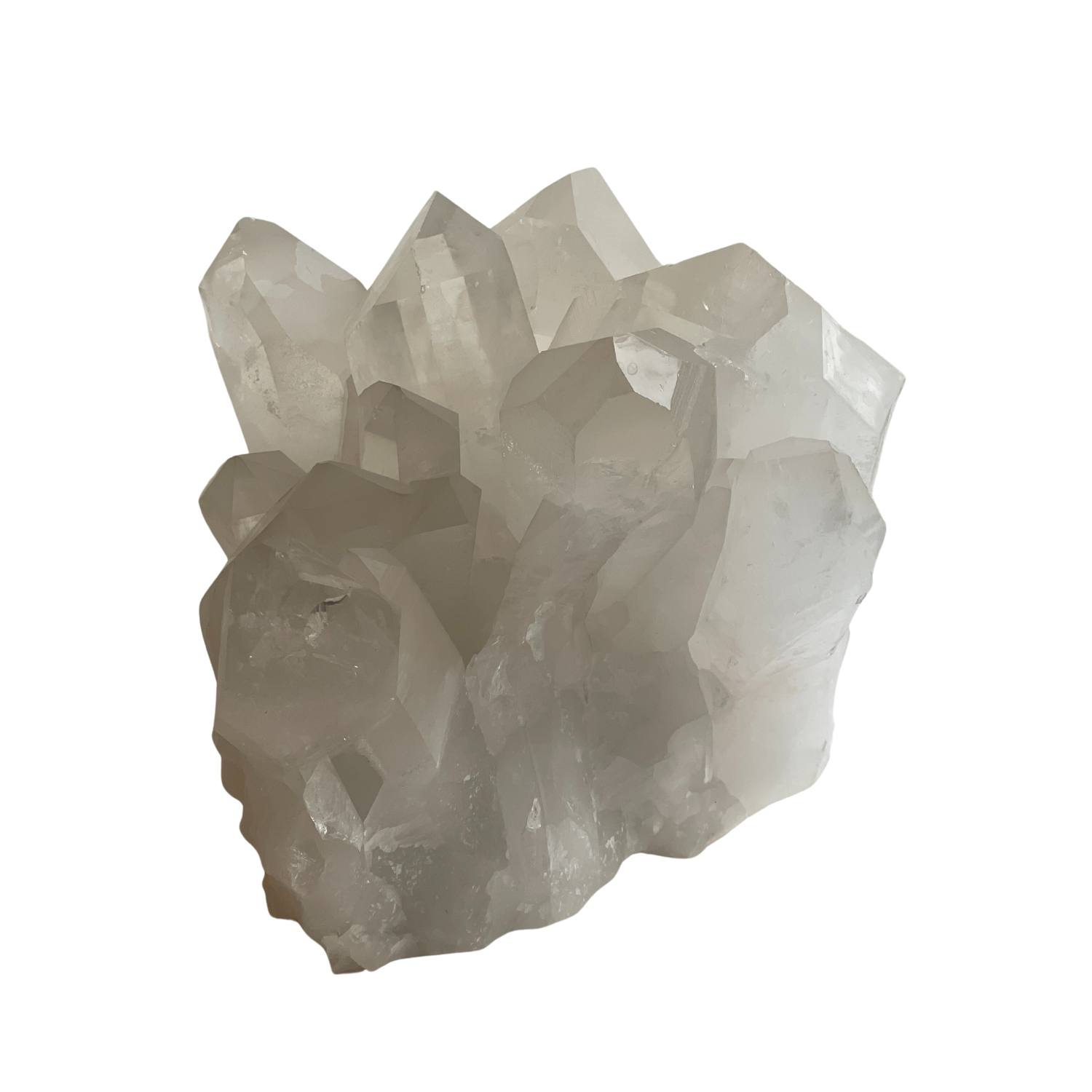 Lemuria Store Neutrals Lemurian Seed Quartz Druze In Green