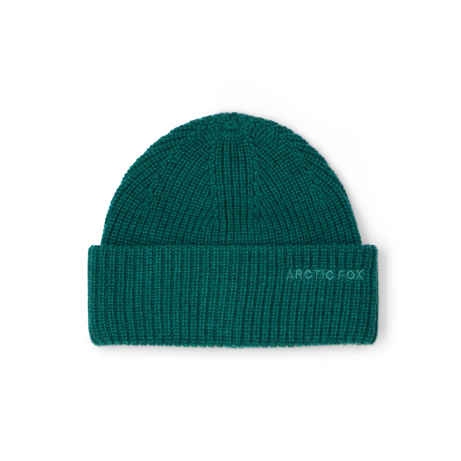 Arctic Fox & Co. Women's Green Embroidered Merino Wool Beanie - Alpine Fern In Green